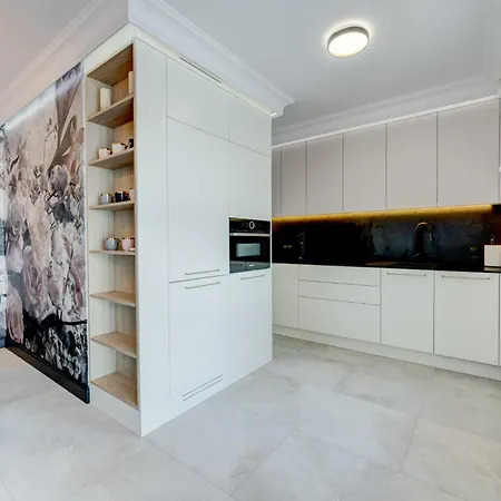 Appartement Z Tarasem Na Dachu Na Wydmach W Miedzywodziu *